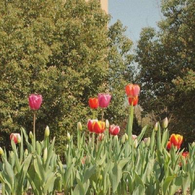 半岛官网入口网页版下载手机版