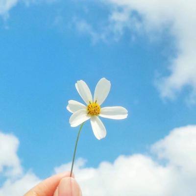 安博体育下载手机版