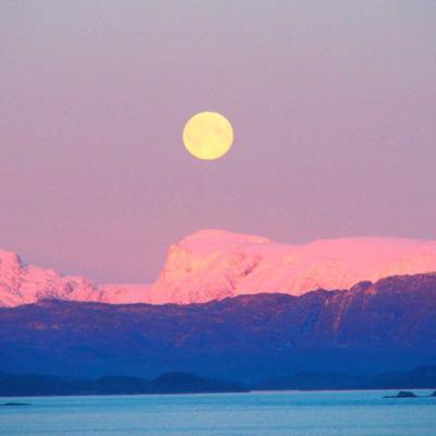 im电竞手机app下载