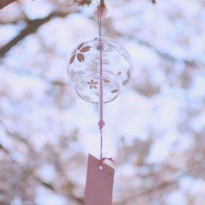 手机最快开奖结果