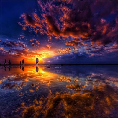 波胆app官网手机app下载