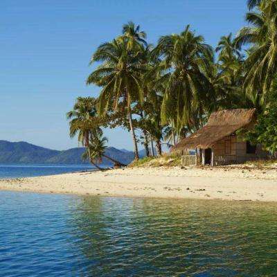 bob半岛在线登录